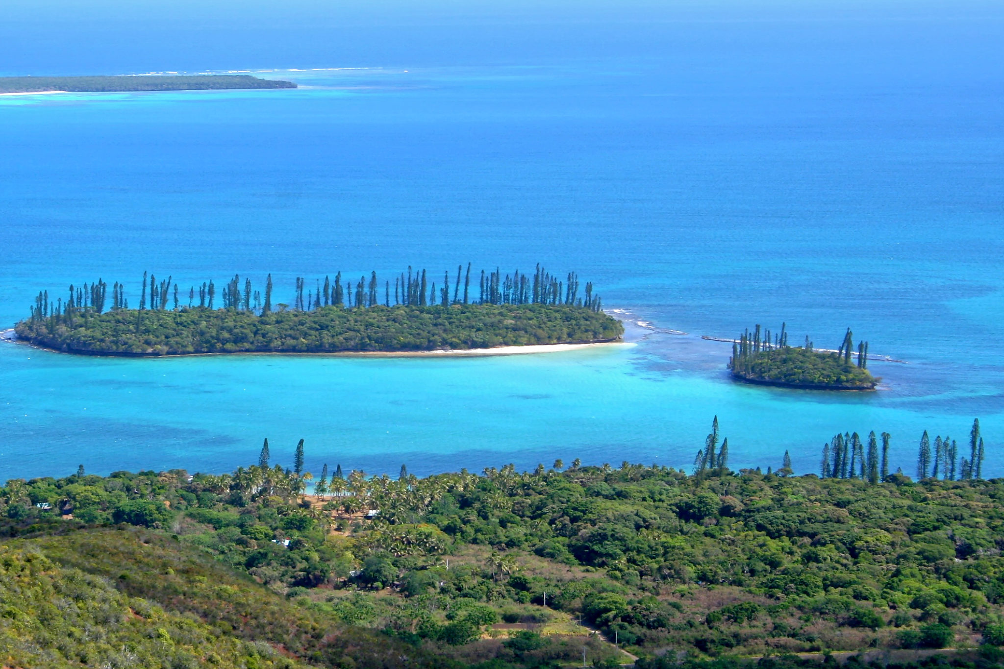 Annexe IMG_0840corrige_DxO.jpg