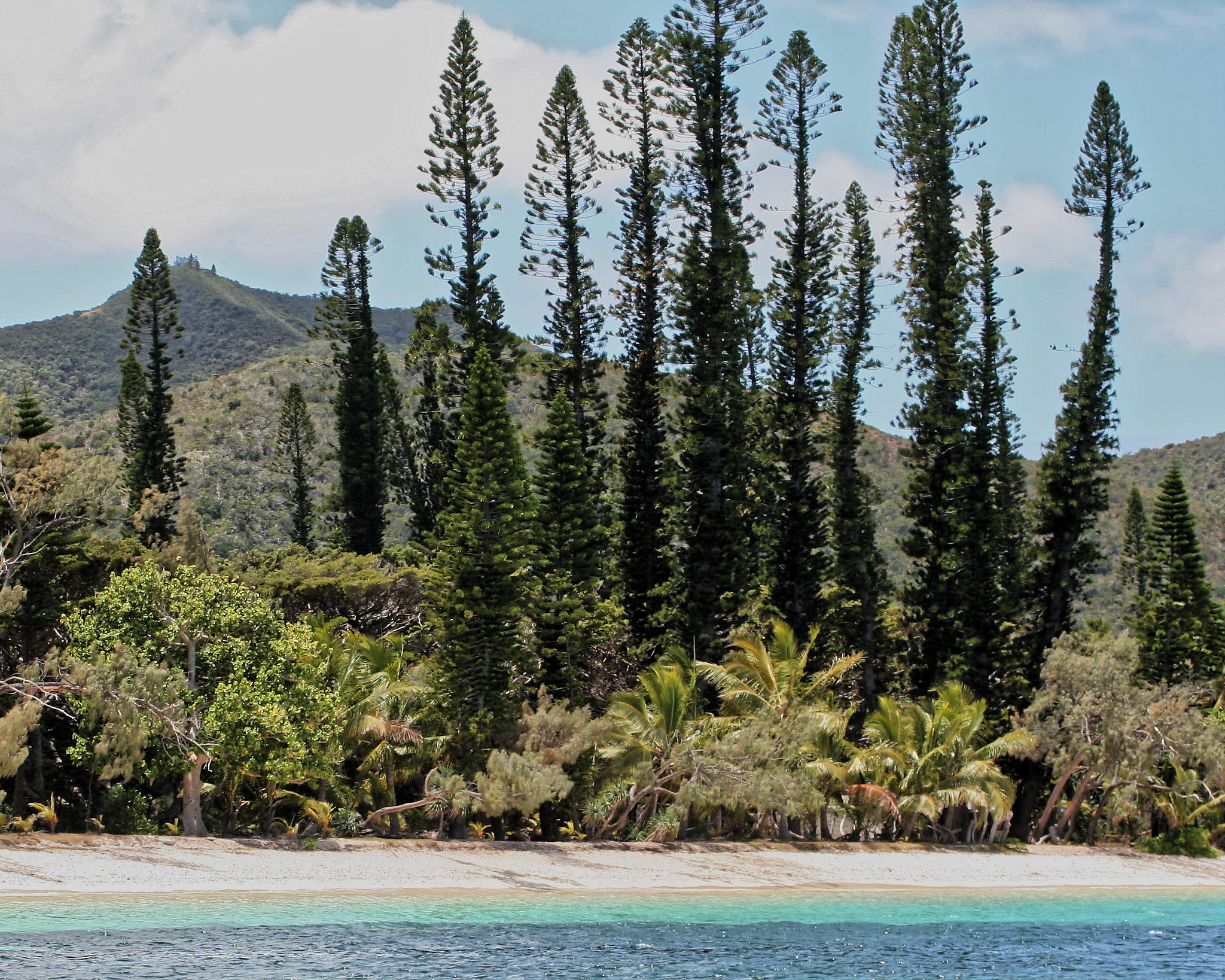 Annexe IMG_0892_DxO.jpg