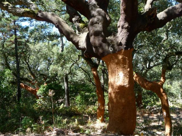 Annexe E4DA8802-11A4-4F7F-83EC-08CC5963F45E.jpeg