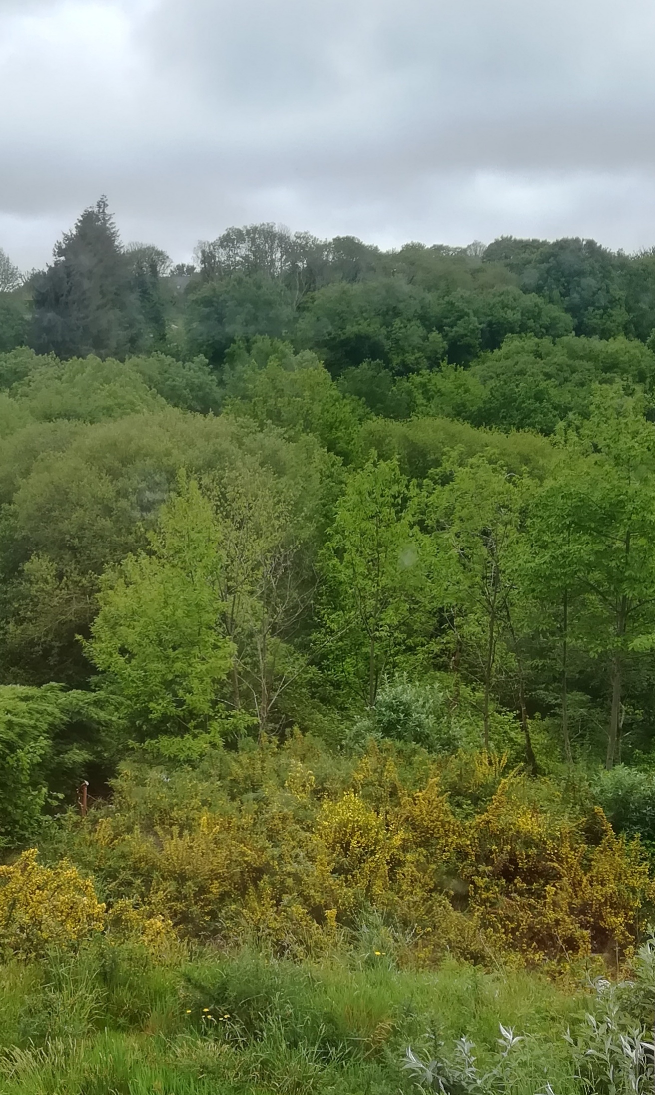 Annexe IMG_20200503_153054.jpg