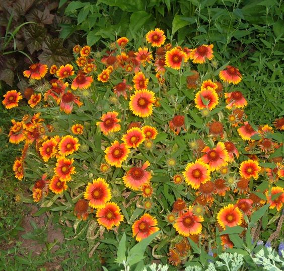 Annexe Gaillarde.jpg