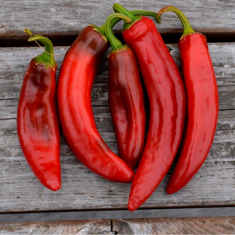 Annexe Piment-Paprika-Hongrois.jpg