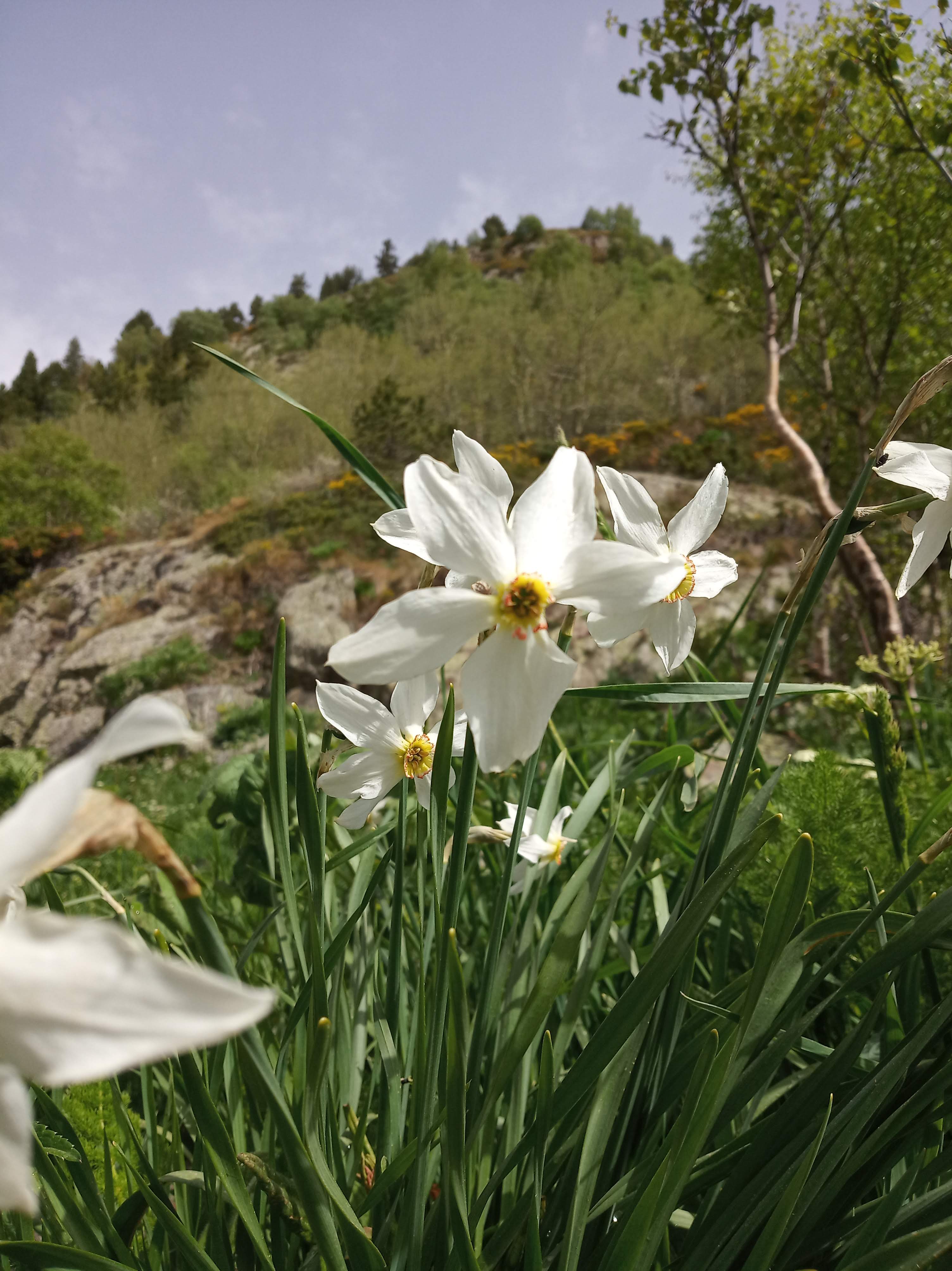 Annexe IMG_20190614_104551.jpg