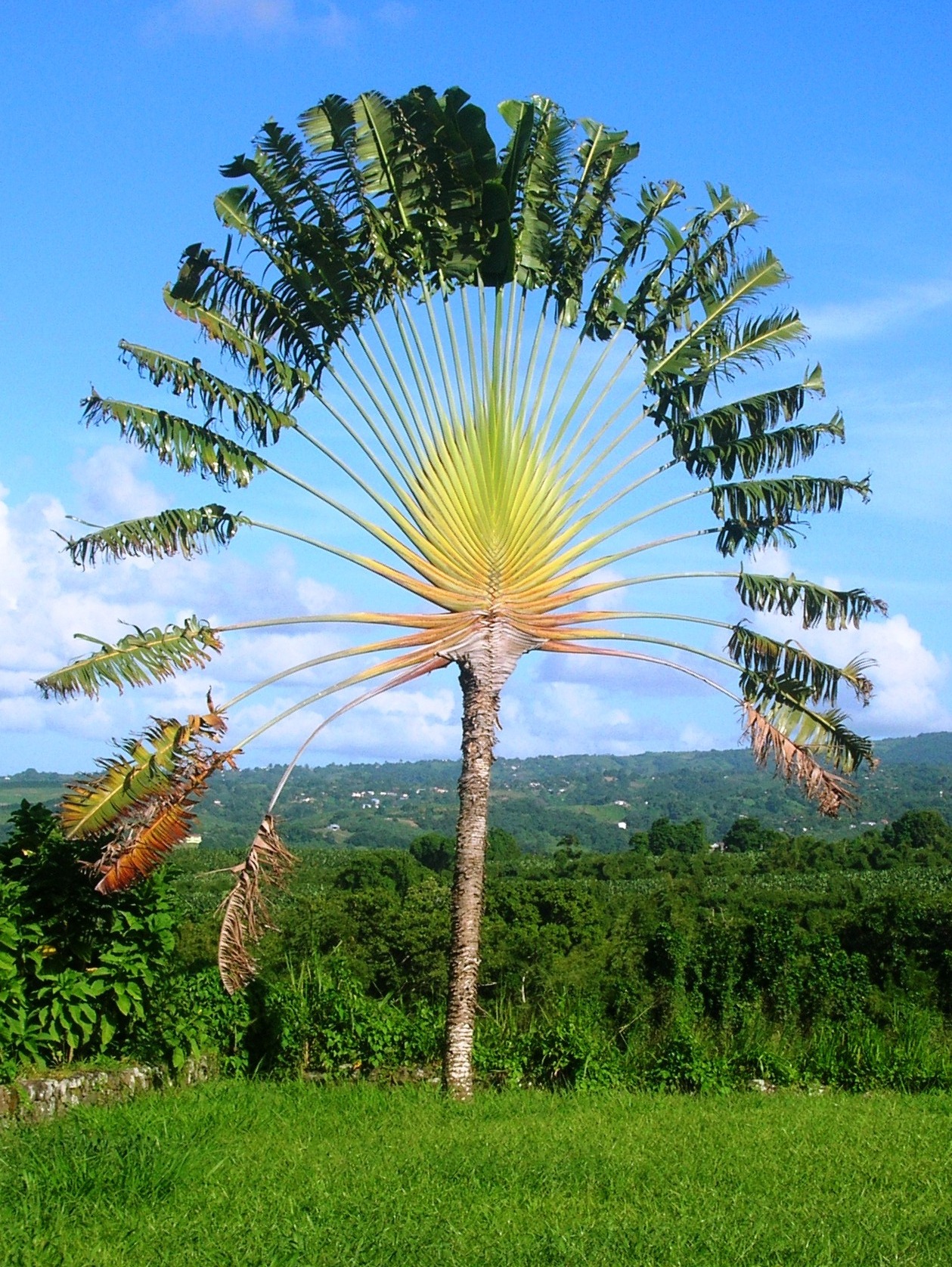 Annexe photo.1501015.jpg