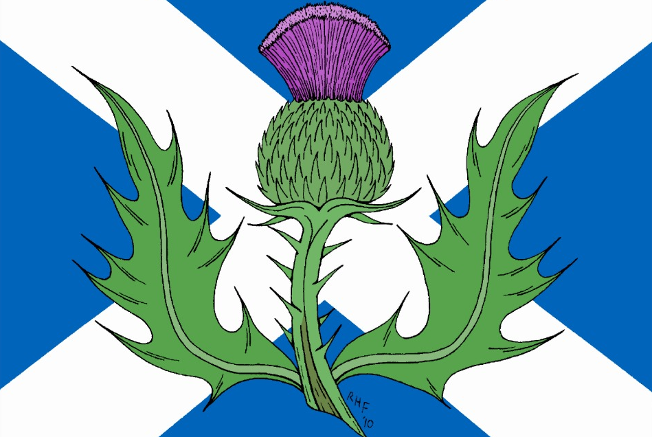 Annexe 69aabca4041c4f0fe7b45113715baf2e.png