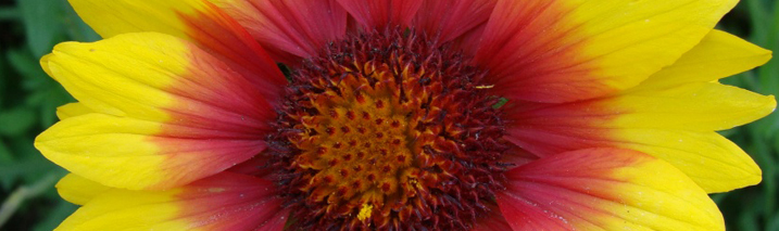 Annexe gaillarde.jpg