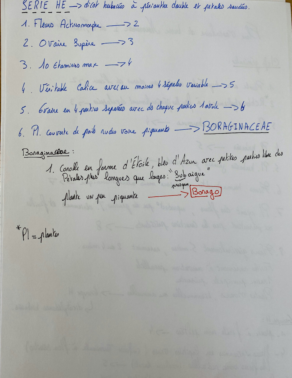 Annexe deter bourrache 2.jpg