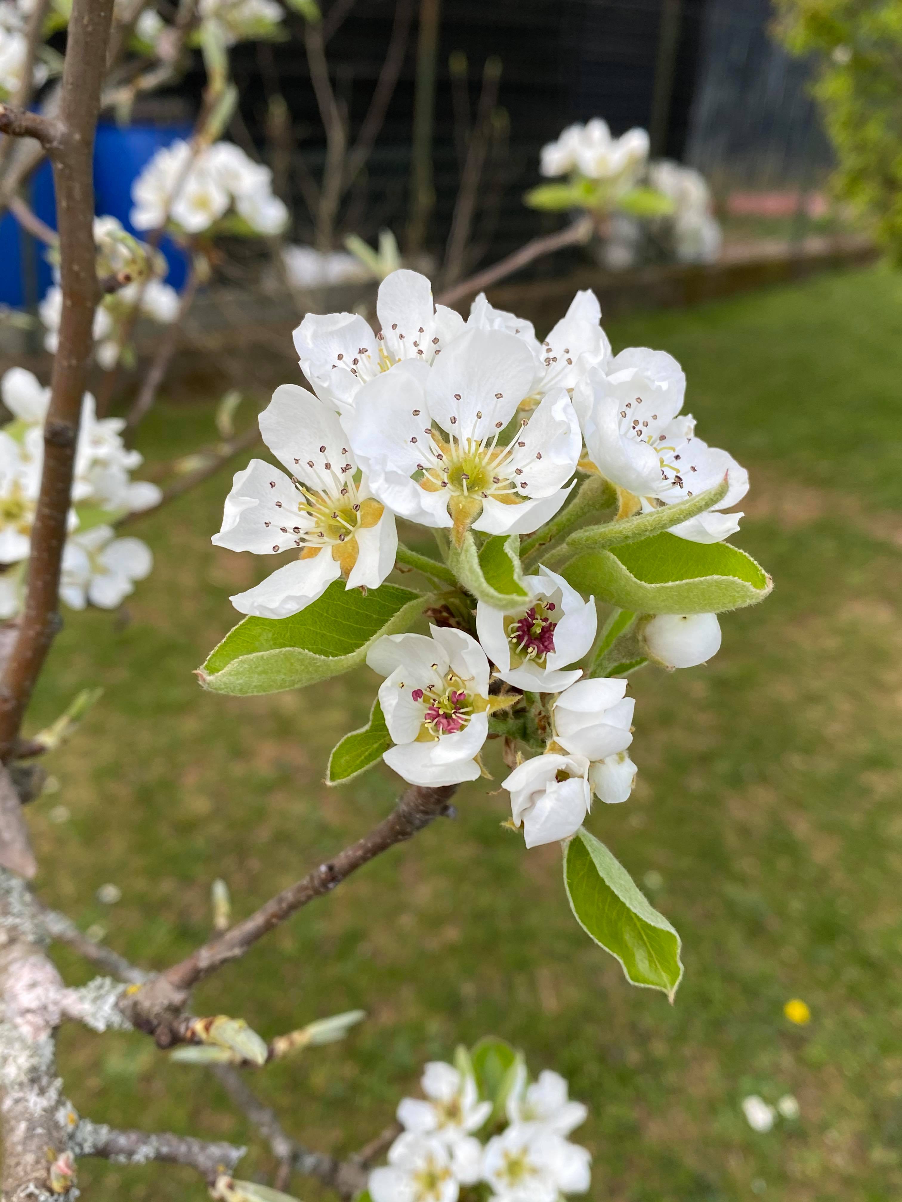 Annexe 92816628_257244015430891_4064534037052522496_n.jpg