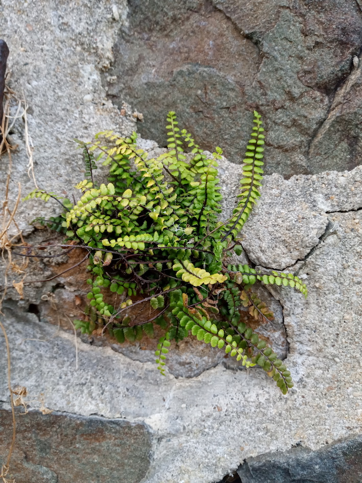 Annexe IMG_20200412_203304.jpg