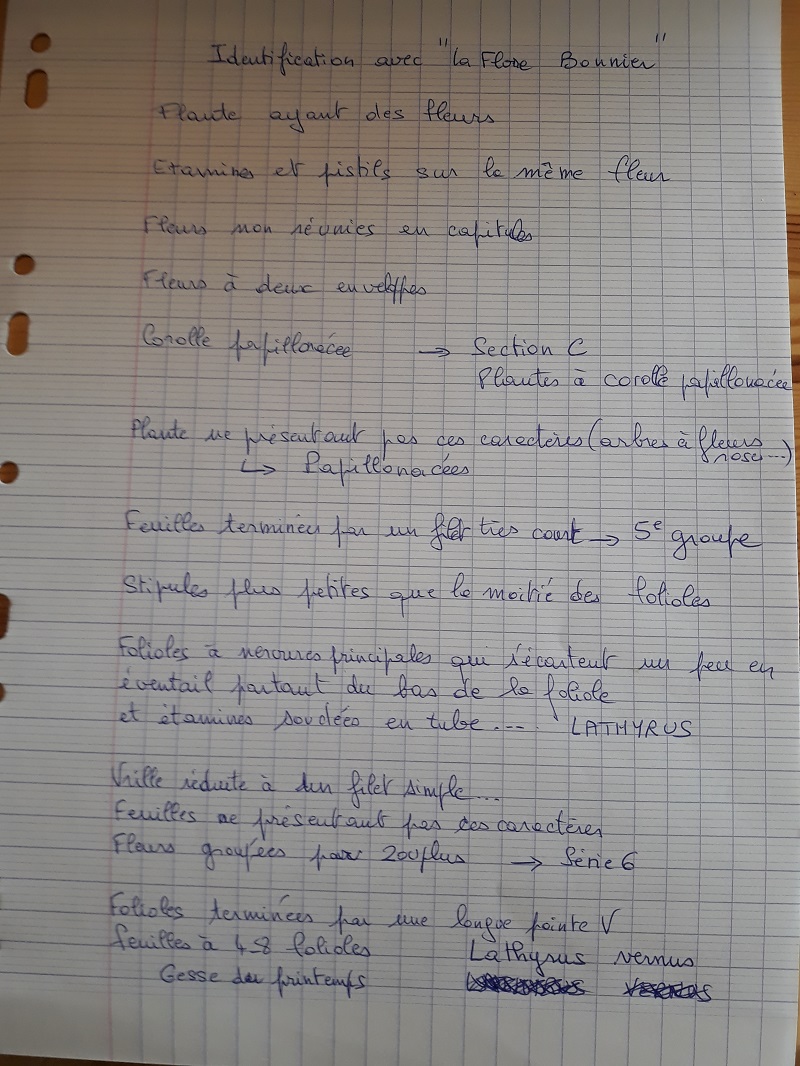 Annexe 20200416_152457.jpg