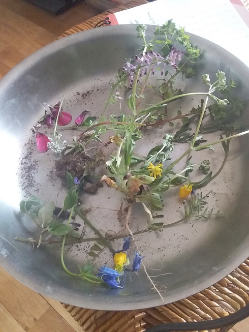 Annexe 20200420_130103 - Copie.jpg