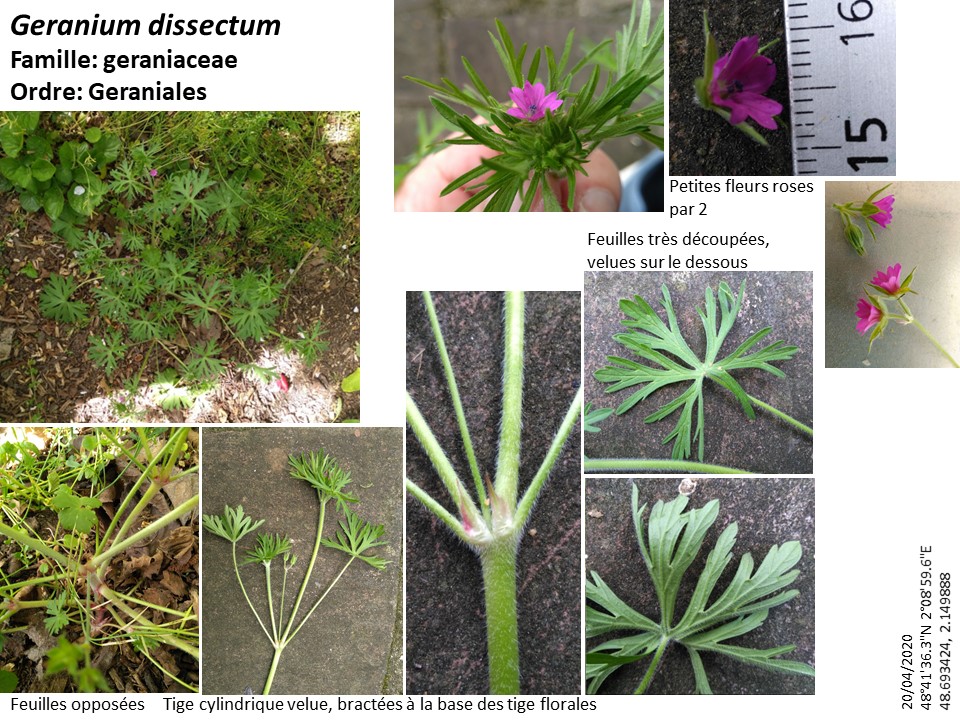 Annexe Diapositive1.JPG