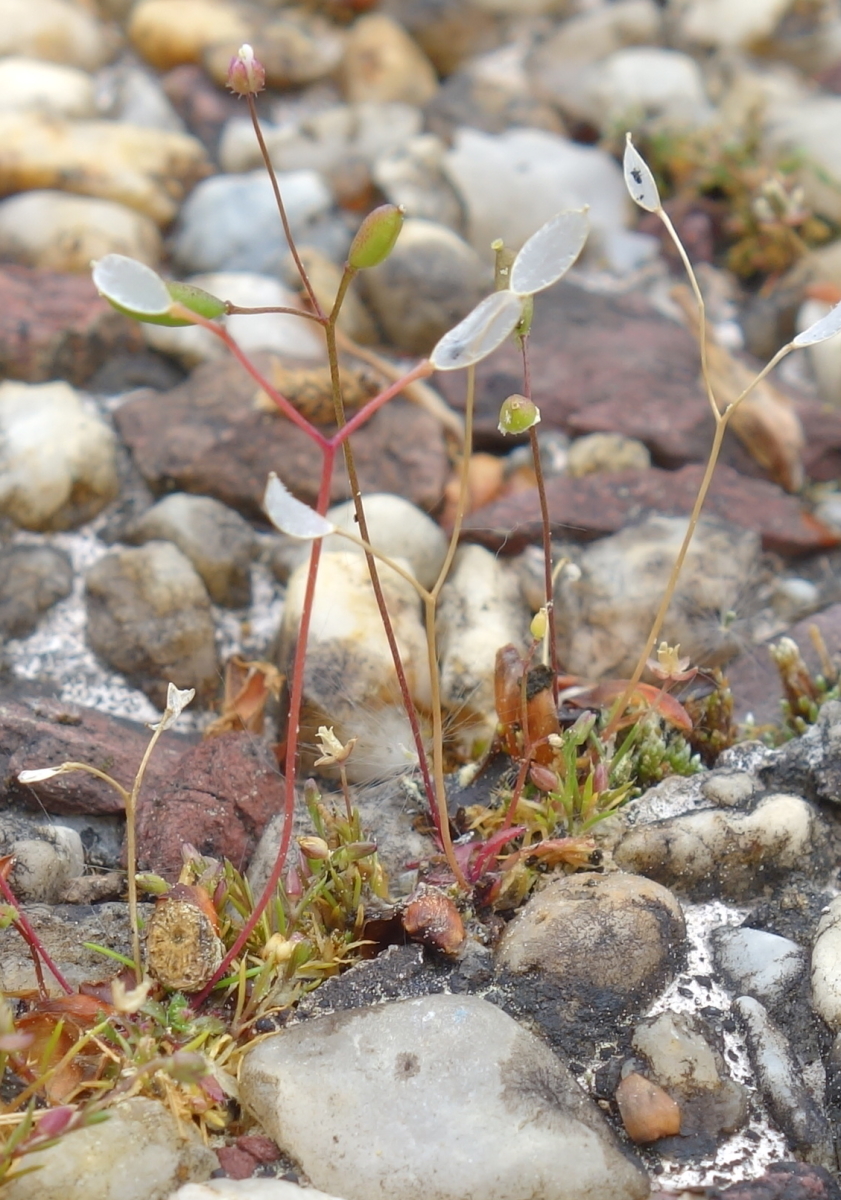 Annexe DSC03002EDIT.JPG