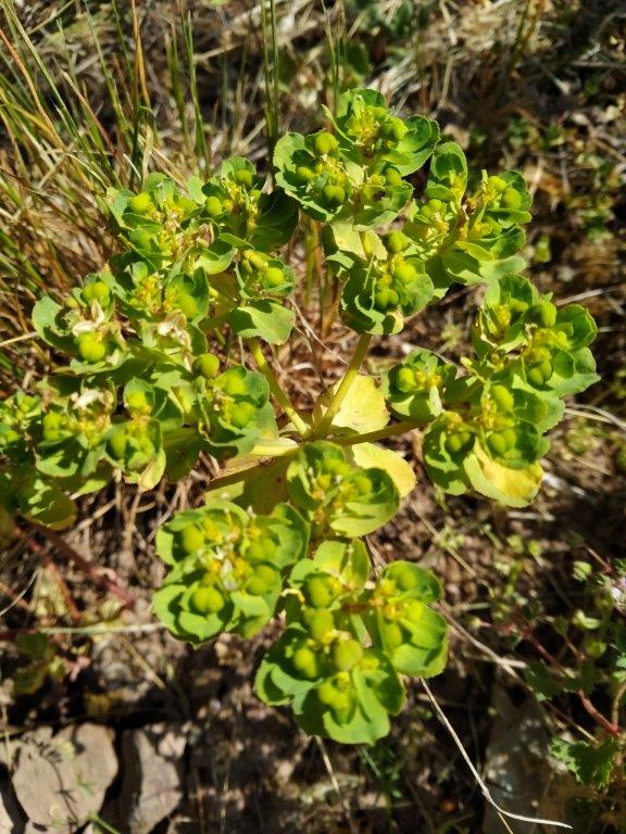 Annexe IMG_20200424_103141.jpg