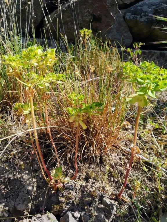 Annexe IMG_20200424_103151.jpg