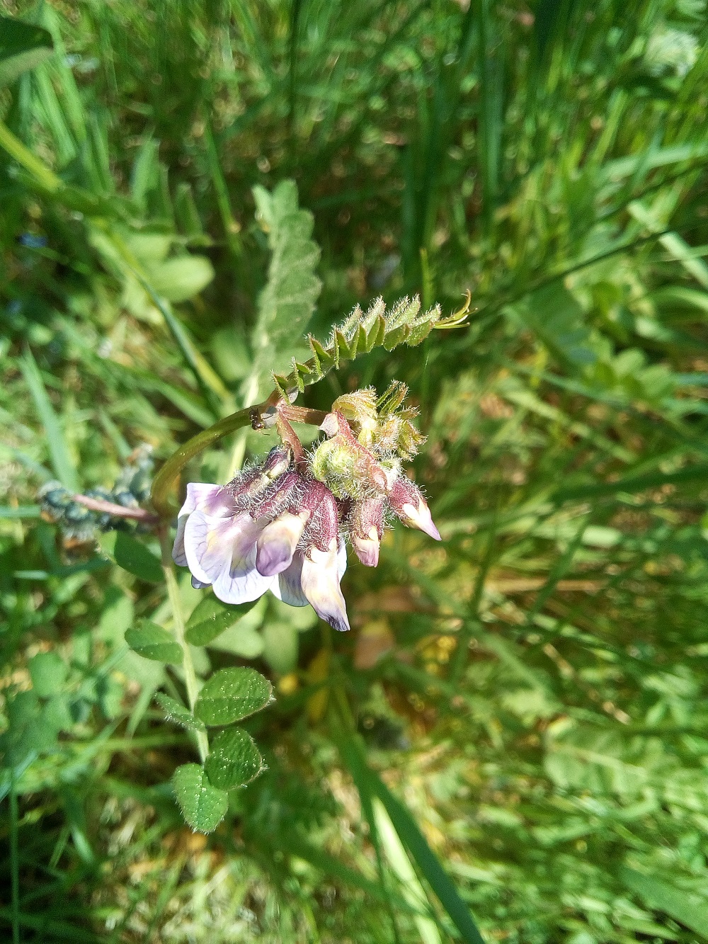 Annexe IMG_20200425_120423.jpg