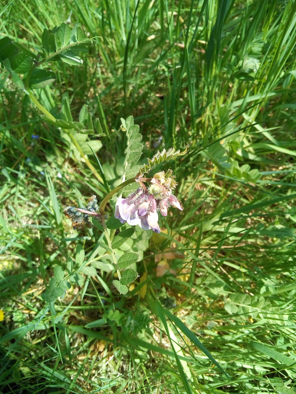 Annexe IMG_20200425_120431.jpg