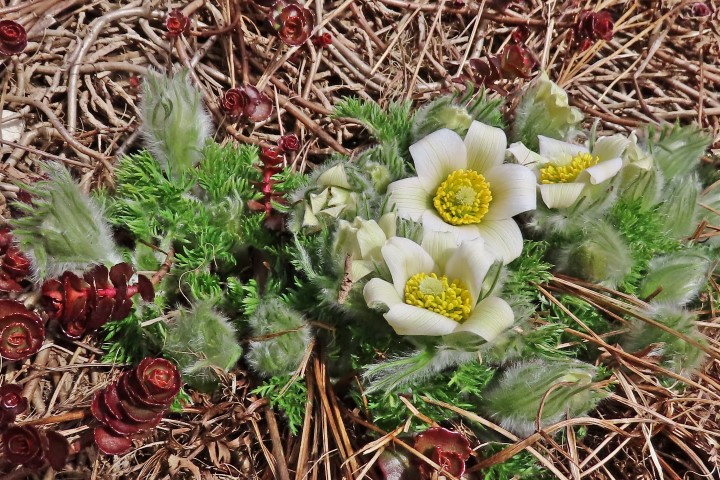 Annexe 1-2 A IMG_9602 (Small).JPG