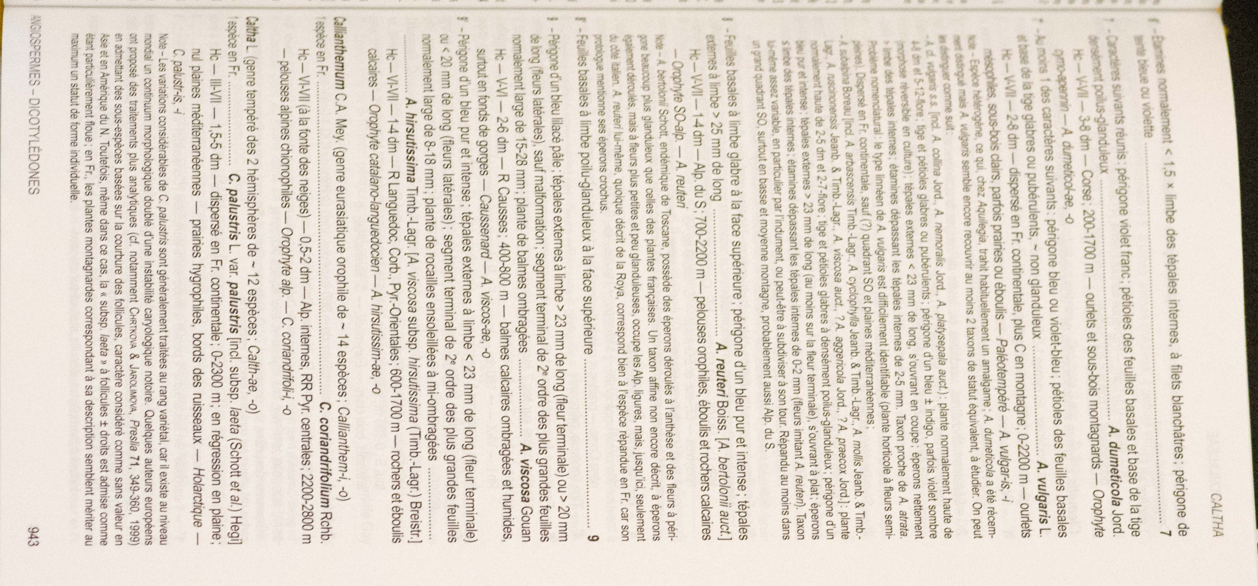 Annexe IMGP3133.jpg