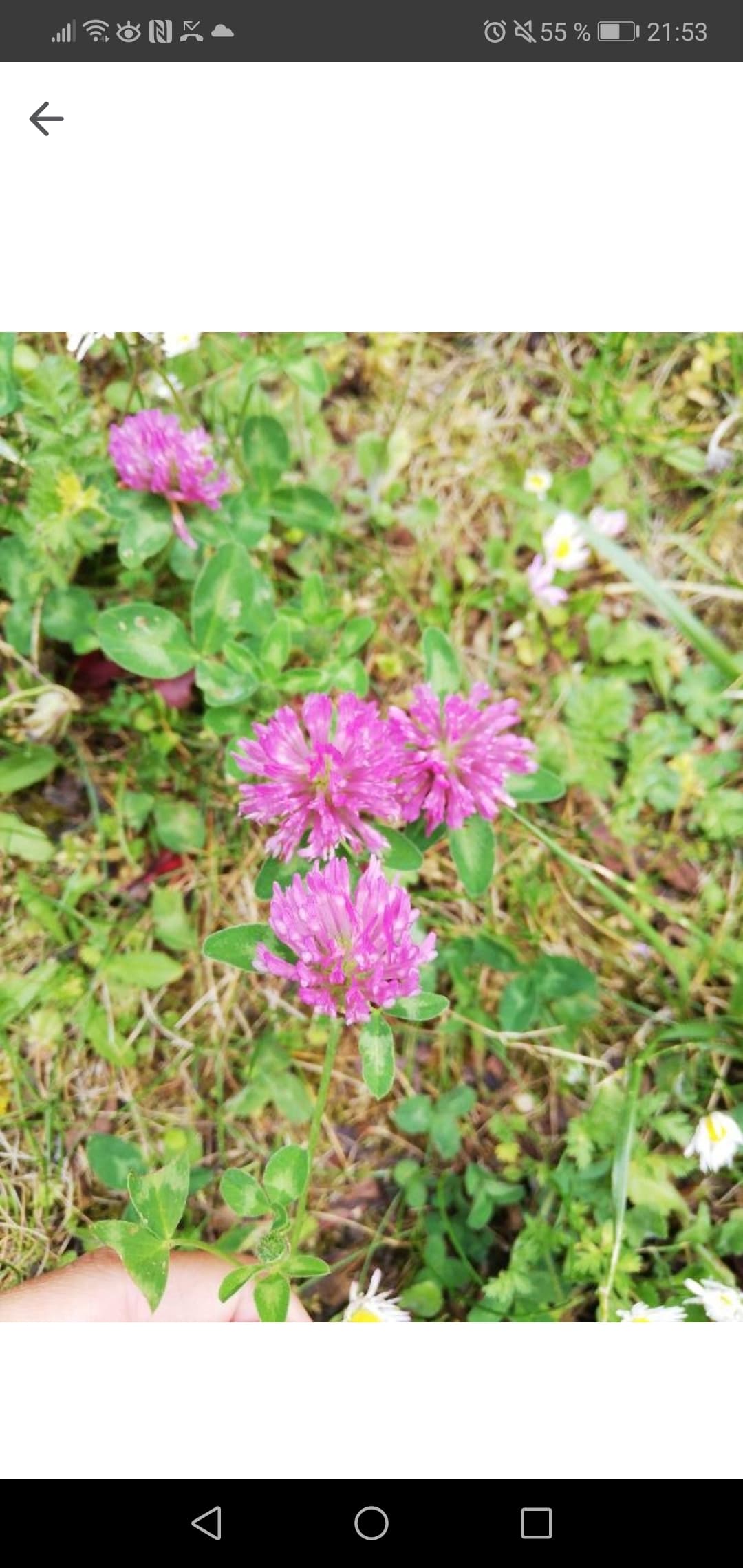 Annexe 96288193_523261271684540_5013875577887653888_n.jpg