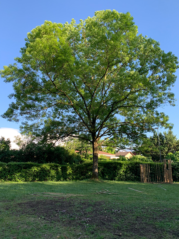 Annexe silhouette.jpg