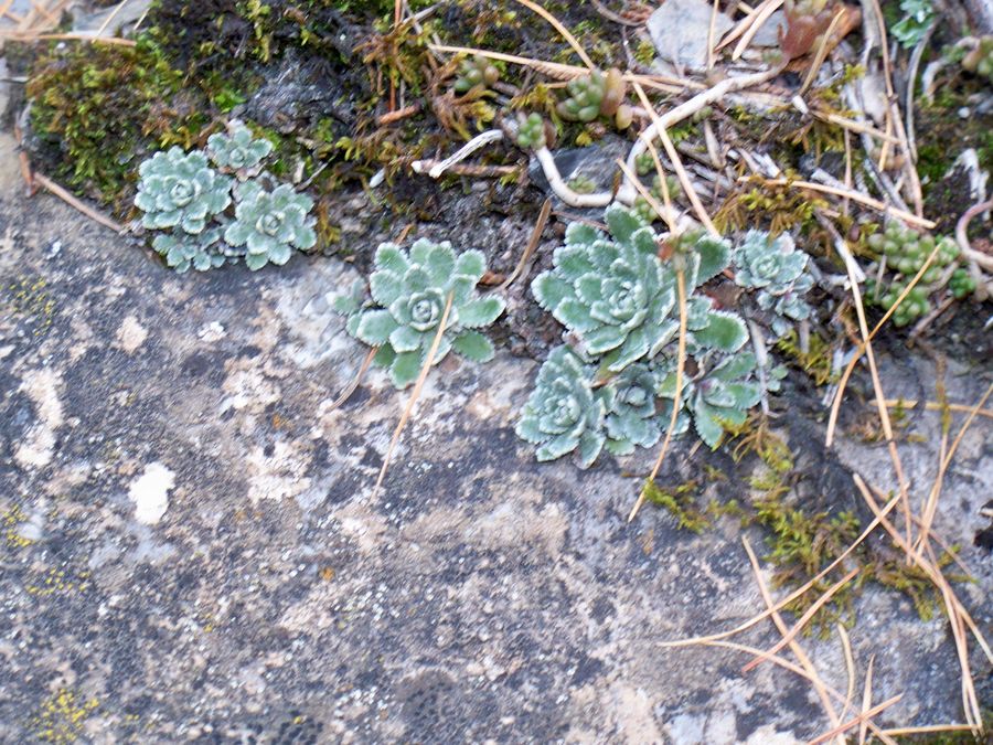 Annexe favorisation.jpg