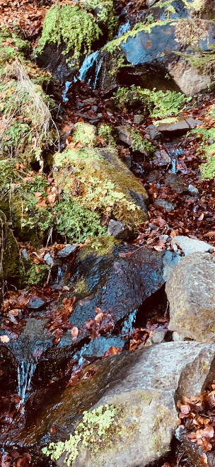 Annexe Capture d’écran 2020-04-14 à 18.09.44.png