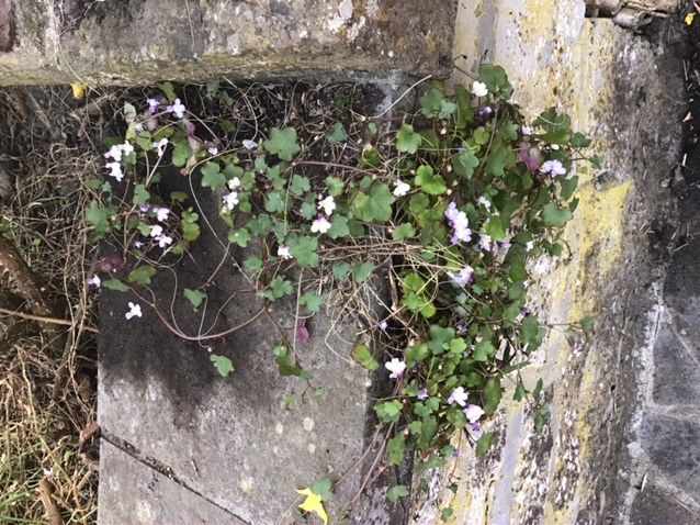 Annexe 891FA8C1-D440-40E5-8745-D5DEAFC7CB2E.jpeg