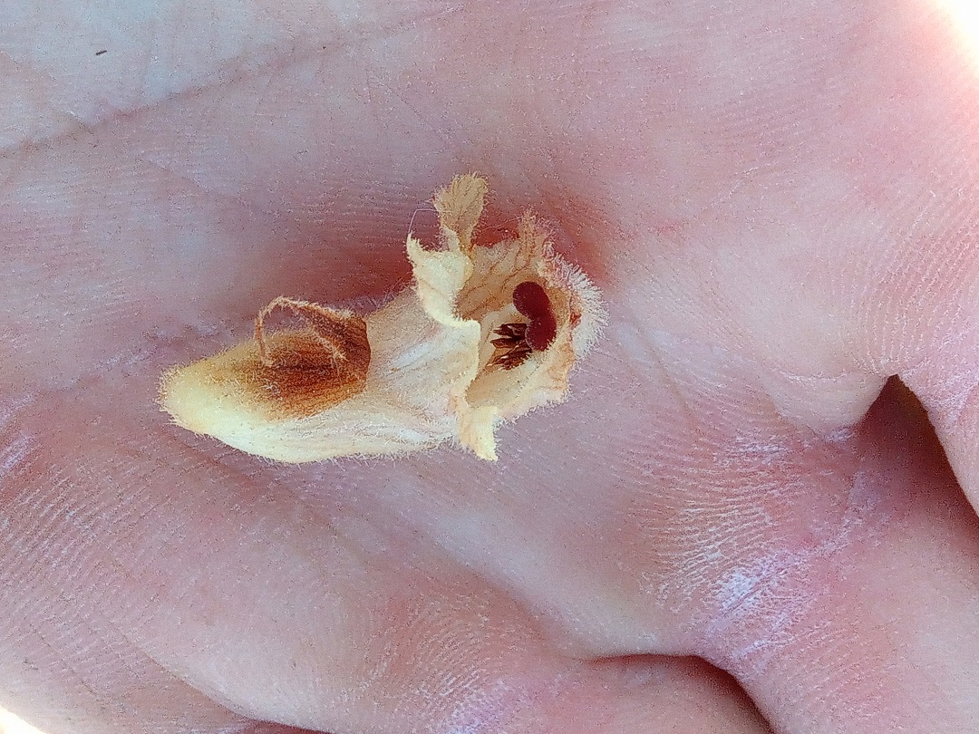 Annexe IMG_20200414_182346.pt.jpg