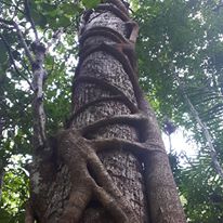 Annexe 87730881_10216670115771242_6945541908152188928_n.jpg