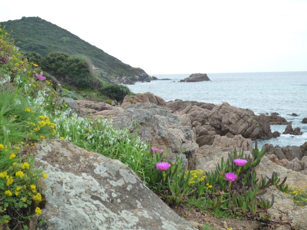 Annexe P1060667_compressée.JPG