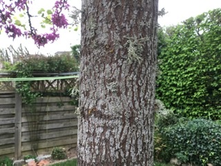 Annexe 43E6DB6F-B60F-45F0-827E-766786BF0940.jpeg