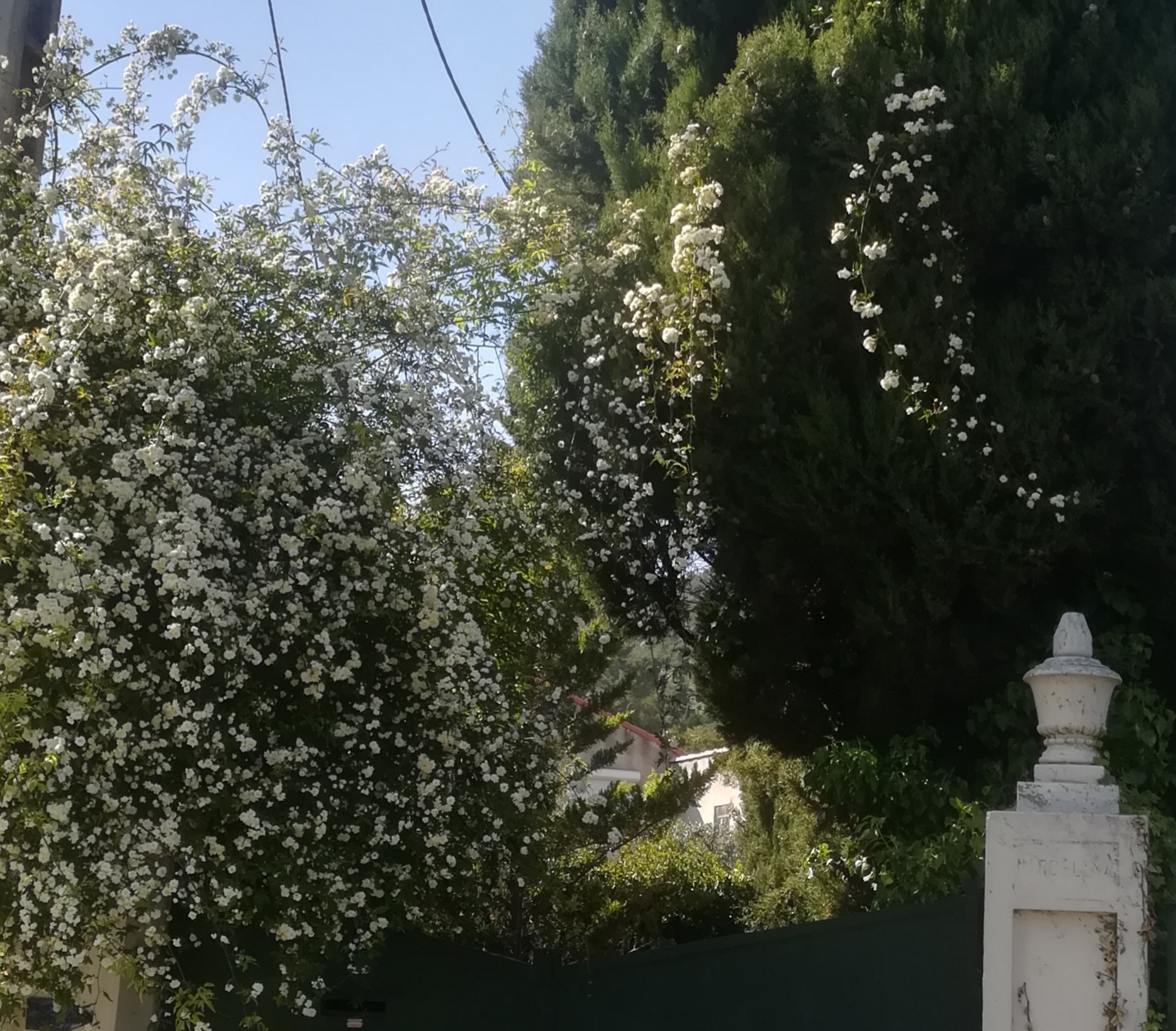 Annexe IMG_20200417_165728.jpg