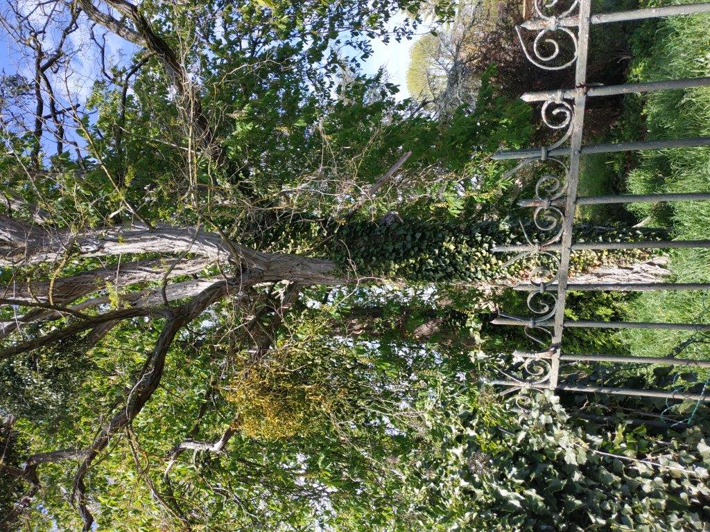 Annexe ALBIS GUI 2.jpg