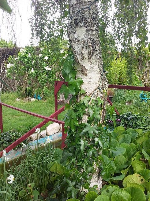 Annexe 20200421_102721 plus petit.jpg