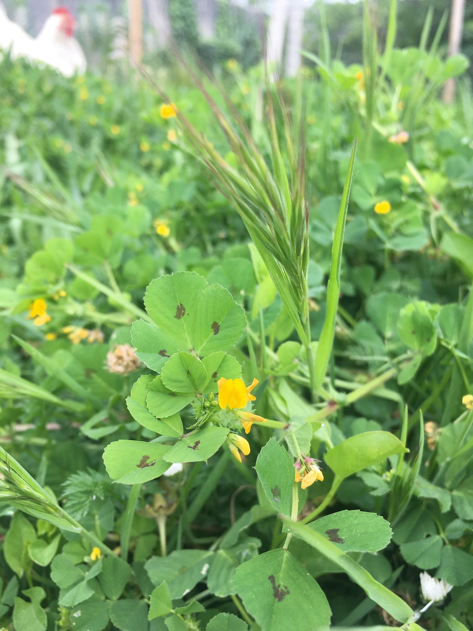 Annexe SE5-S3 des interactions partout.jpg