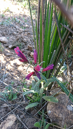 Annexe favoritisme.png