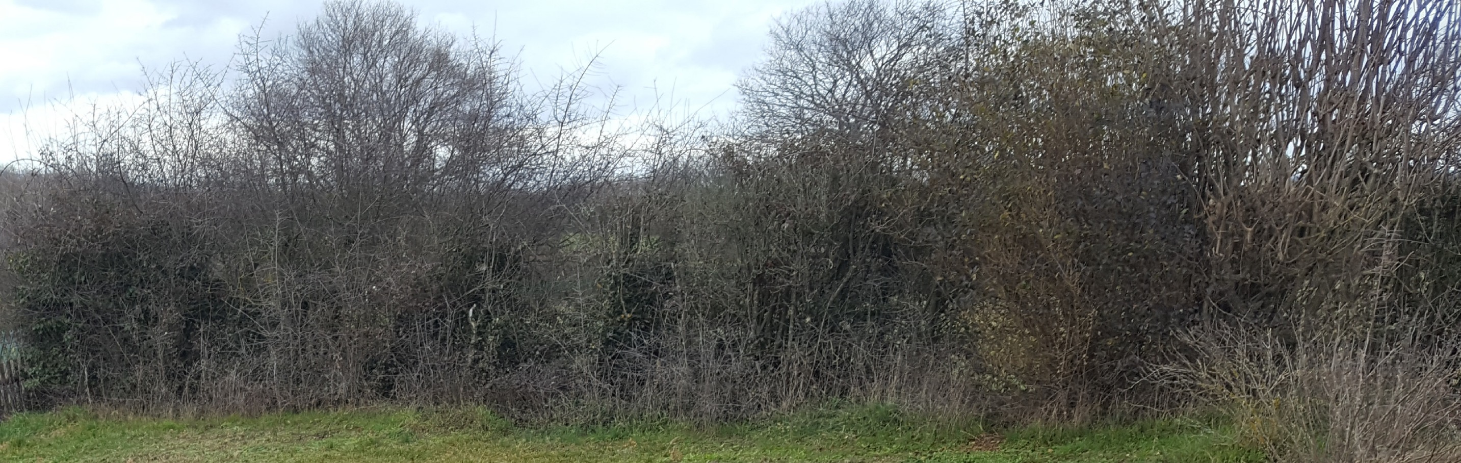 Annexe 20200423_221913.jpg