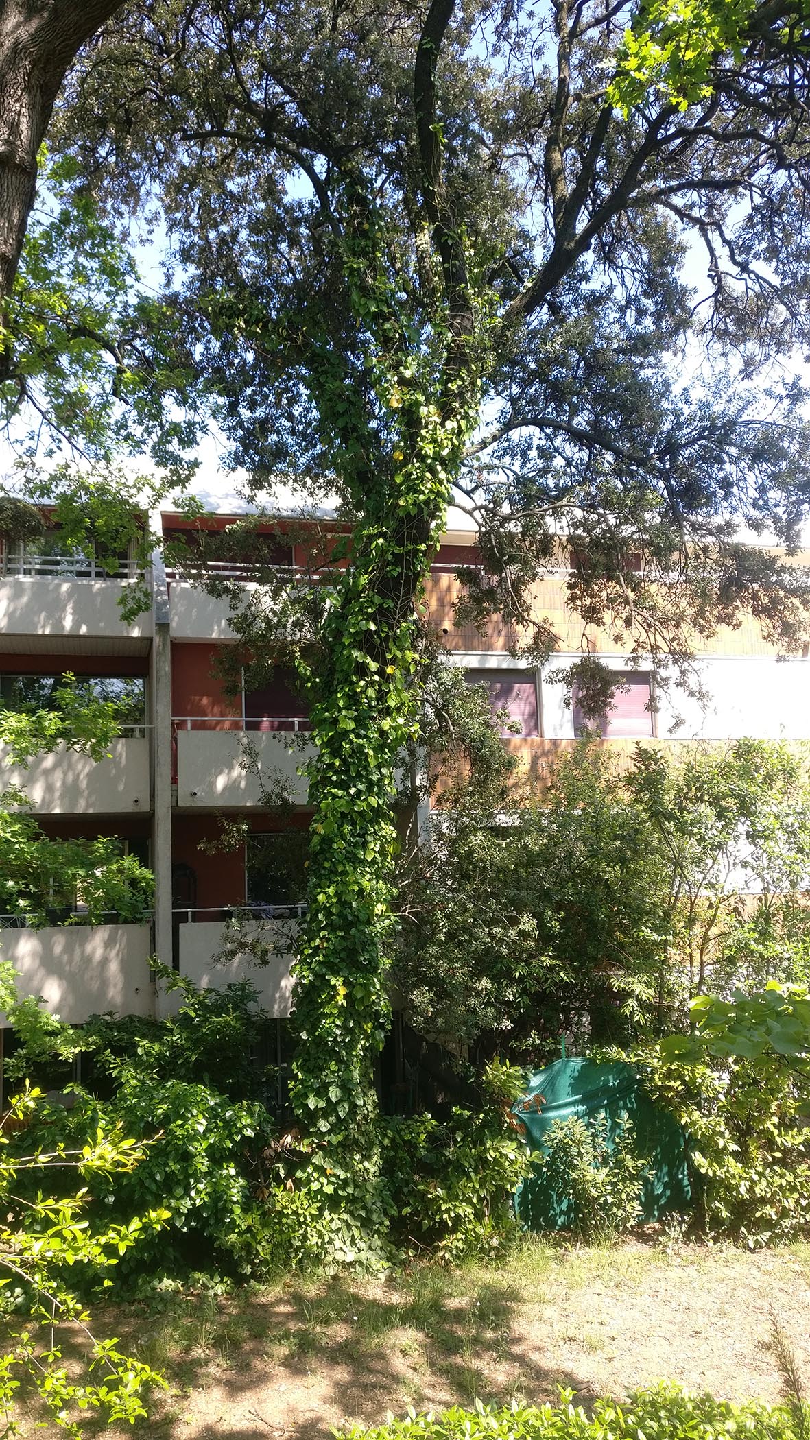 Annexe Vue densemble.jpg