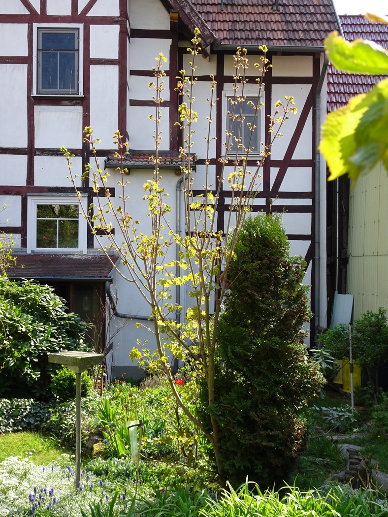 Annexe Compétition-JLP.JPG