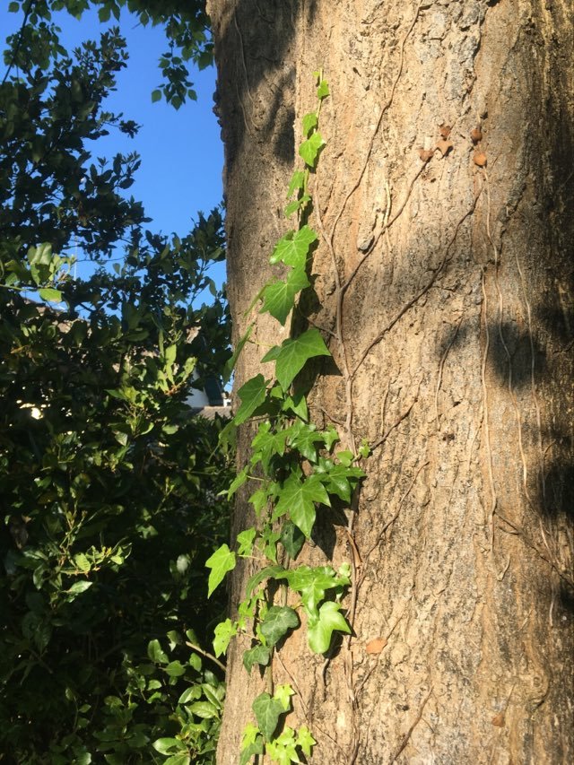 Annexe 94906151_224056132368734_1929041216188448768_n.jpg