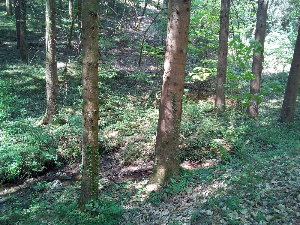 Annexe IMG_20200425_132725.jpg