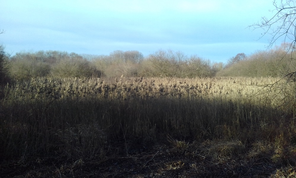 Annexe compétition.jpg