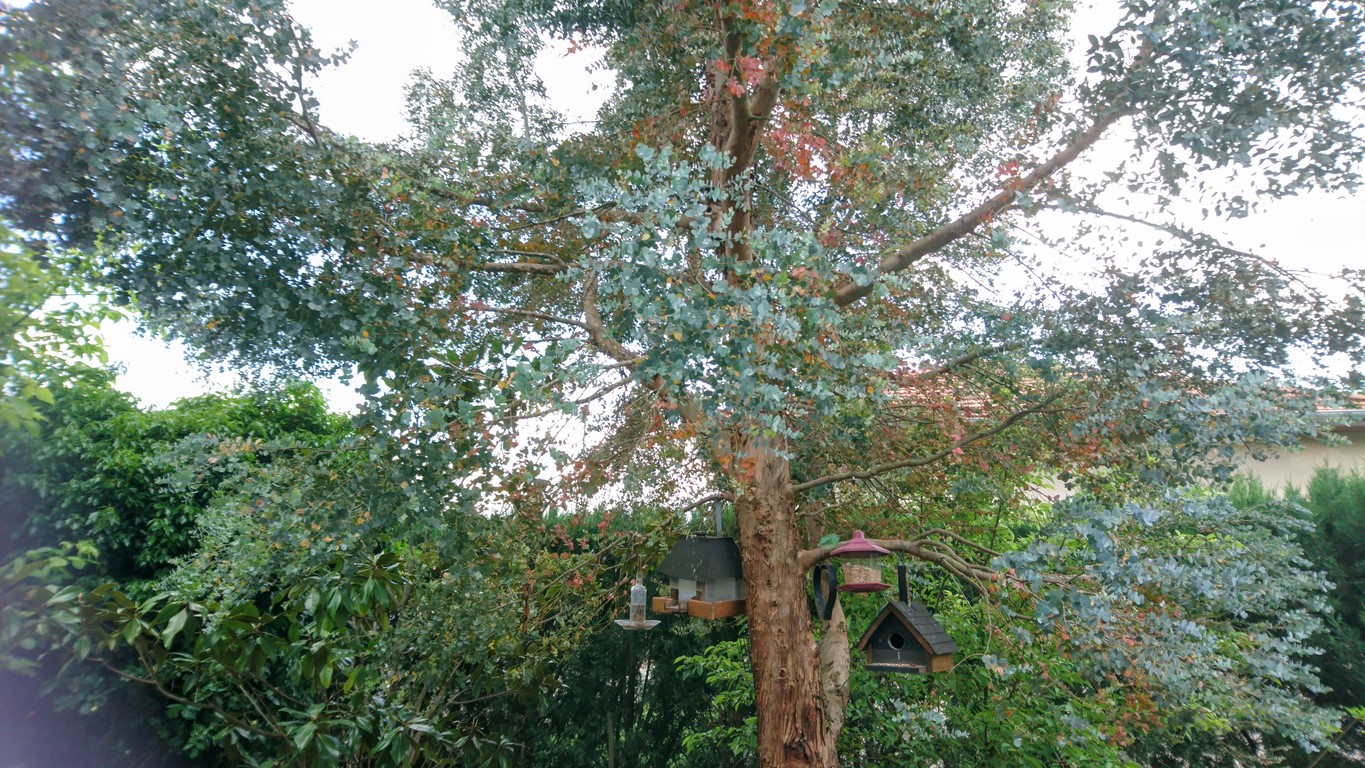 Annexe DSC_5547~3.JPG