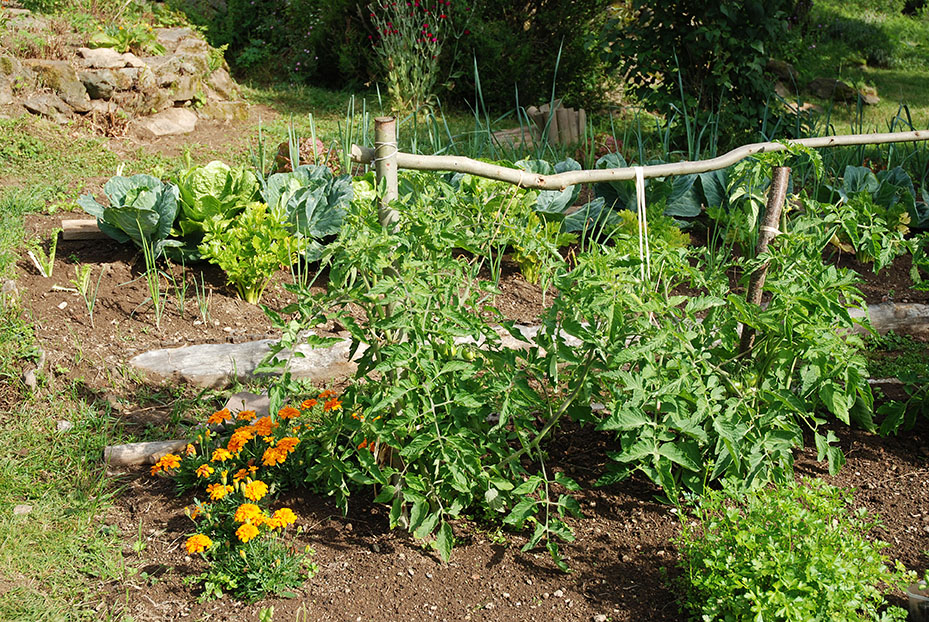 Annexe Interactions déf.jpg