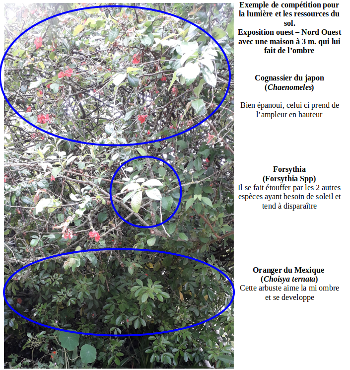 Annexe Compétition.png