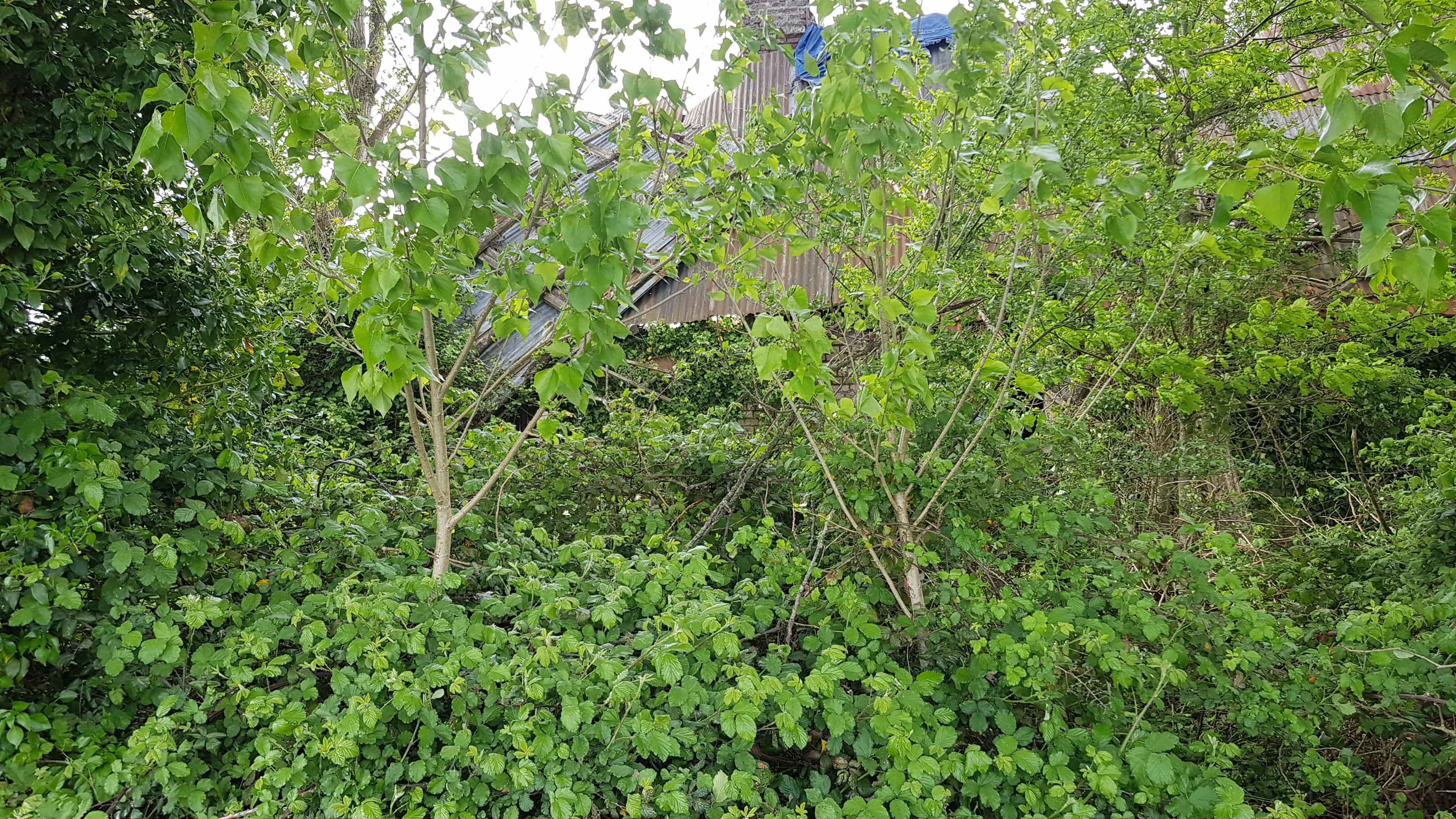 Annexe 20200501_181909-min.jpg