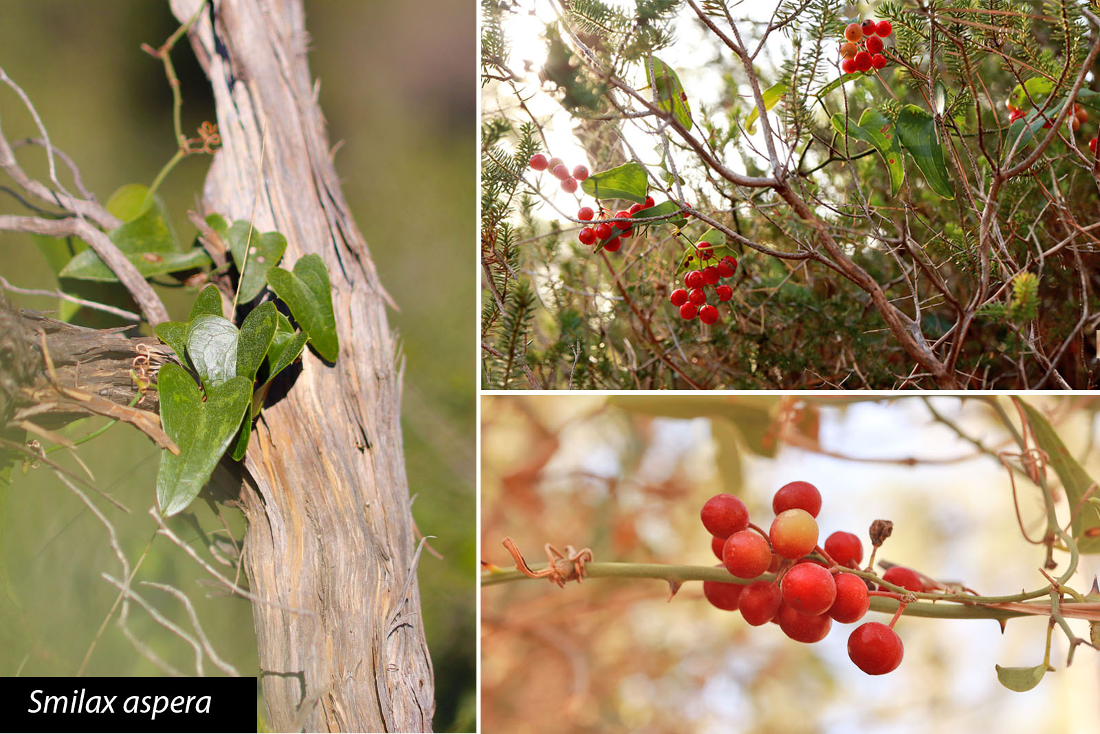 Annexe interaction.jpg