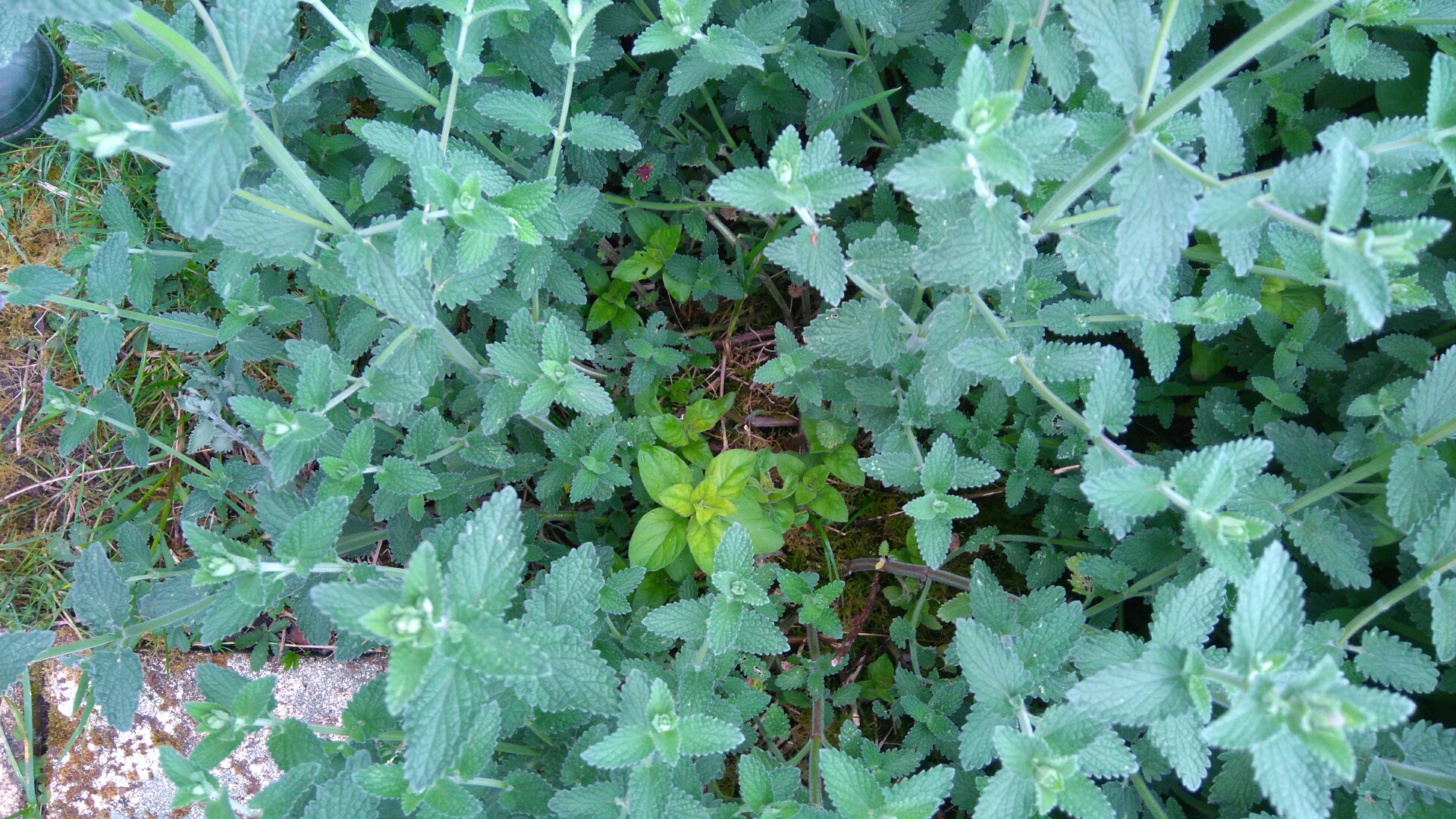 Annexe interaction2.JPG