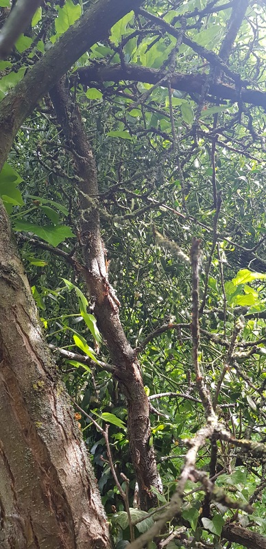 Annexe interaction1.jpg